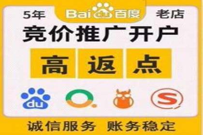 SEM公司广告策略案例：如何实现ROI最大化